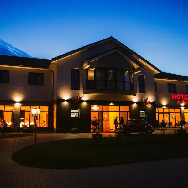 HOTEL Art Cafe，位于Ślesin的酒店