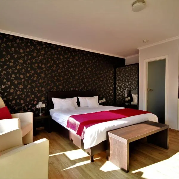 费里恩多米奇尔阿姆林登普拉兹酒店，位于布莱的酒店