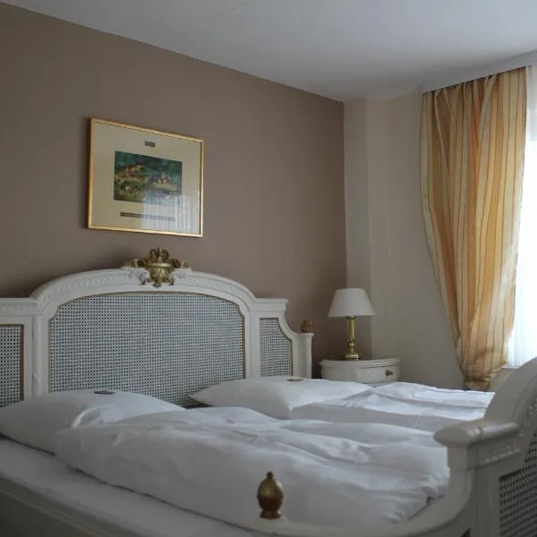 Elbhotel Bleckede am Hafen，位于布莱克德的酒店