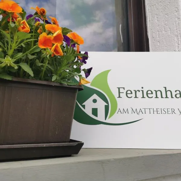 Ferienhaus am Mattheiser Wald，位于Trassem的酒店