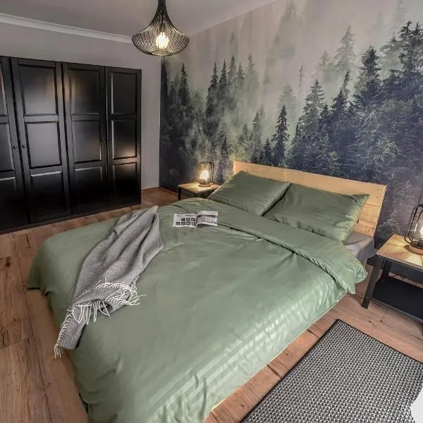 Apartament Portowa，位于新苏尔的酒店