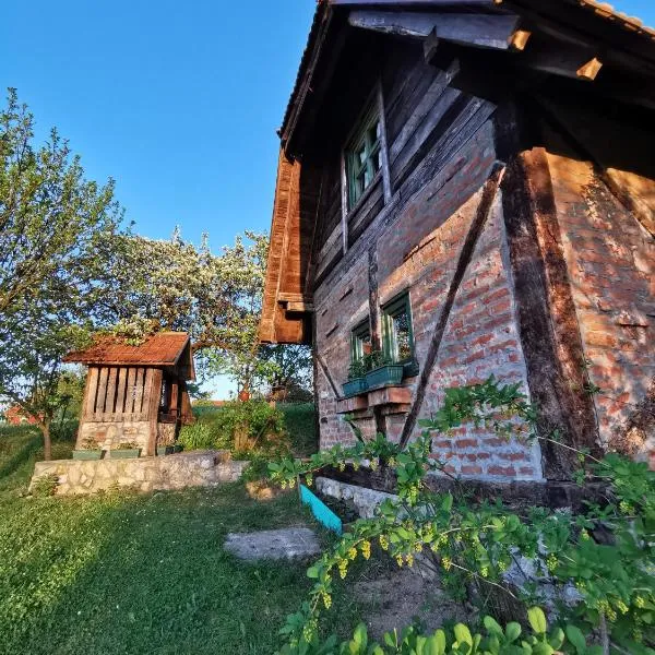 北里诺索卡斯度假屋，位于Drežnik的酒店