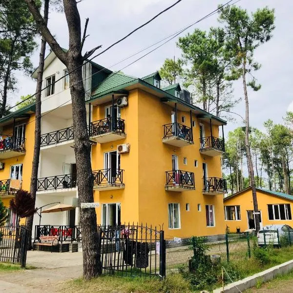 Bajo Shekvetili，位于谢赫维蒂利的酒店