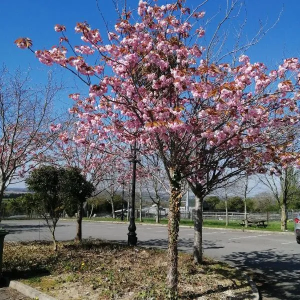 Tara View Apartments，位于Garristown的酒店