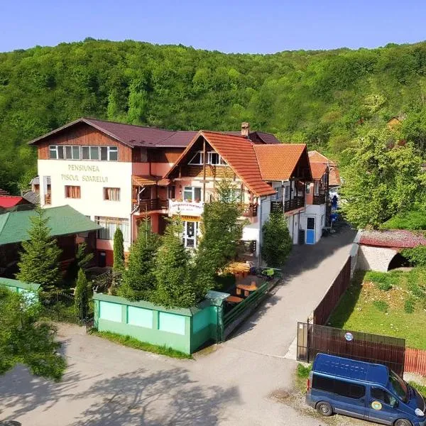 Pensiunea Agroturistică Piscul Soarelui，位于Berevoeşti的酒店