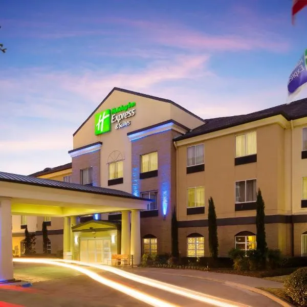DFW-藤步智选假日套房酒店，位于格雷普韦恩的酒店