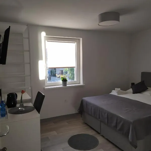 Apartment Trubarjeva33, near Ljubljana, free parking，位于Velike Lašče的酒店