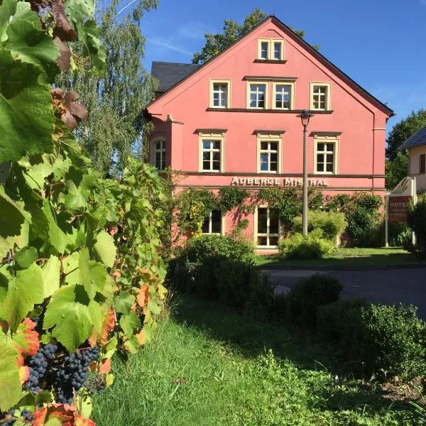 Wein-Hotel Auberge Mistral，位于弗赖贝格的酒店