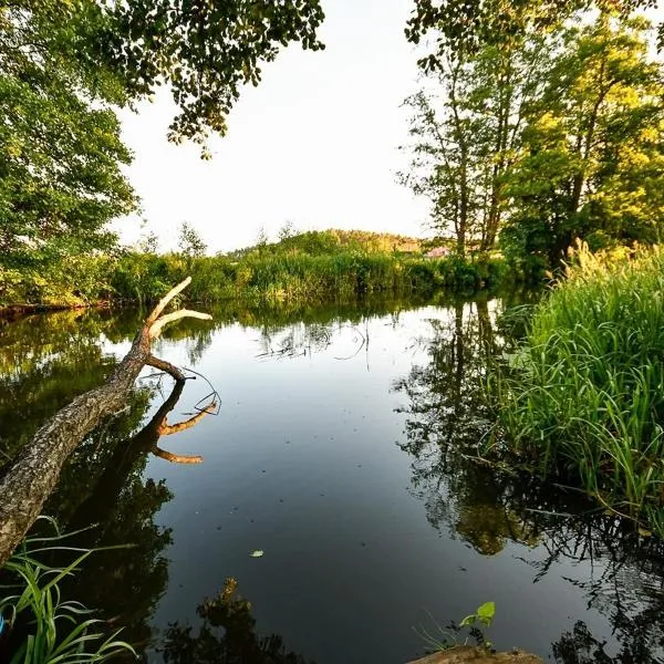 Kajakodajnia Campsite at the Wierzyca river，位于Grabowiec的酒店