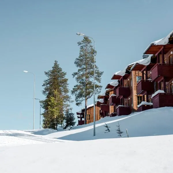 Ski-Inn AurinkoRinne，位于鲁卡的酒店