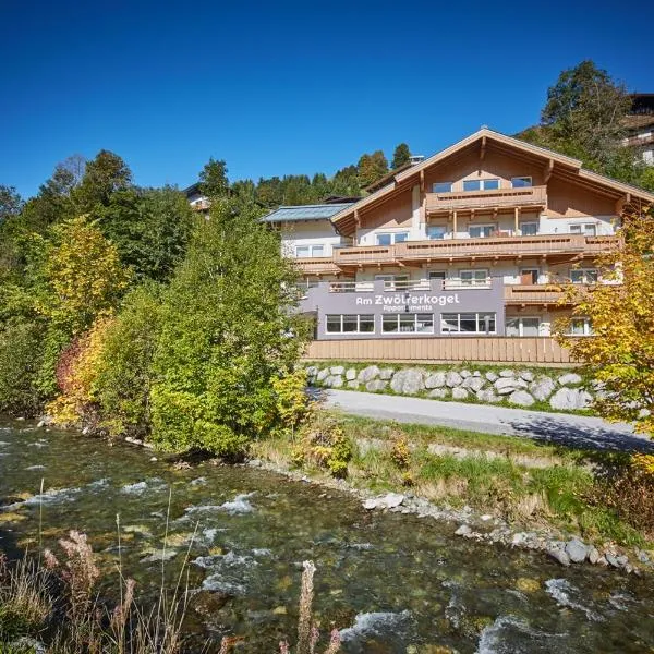 Am Zwölferkogel Appartements，位于萨尔巴赫的酒店