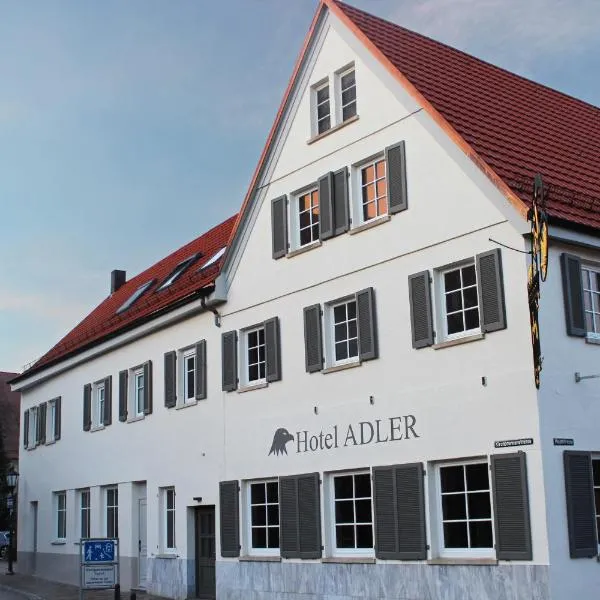 Hotel Adler，位于Gundelsheim的酒店