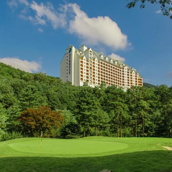 Yangji Pine Resort，位于龙仁市的酒店