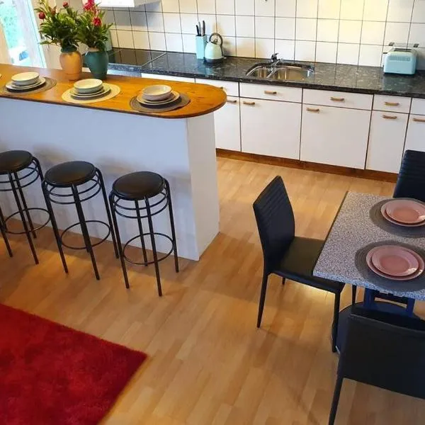 Swiss Mountains Apartments，位于因特拉肯的酒店