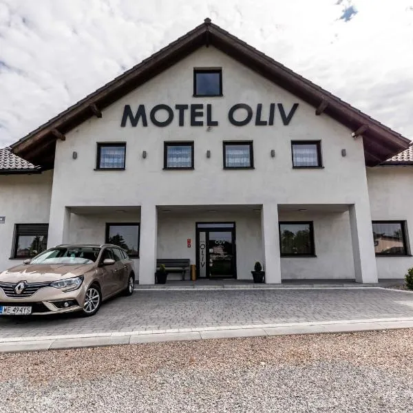 Motel OLIV，位于奥斯威辛的酒店