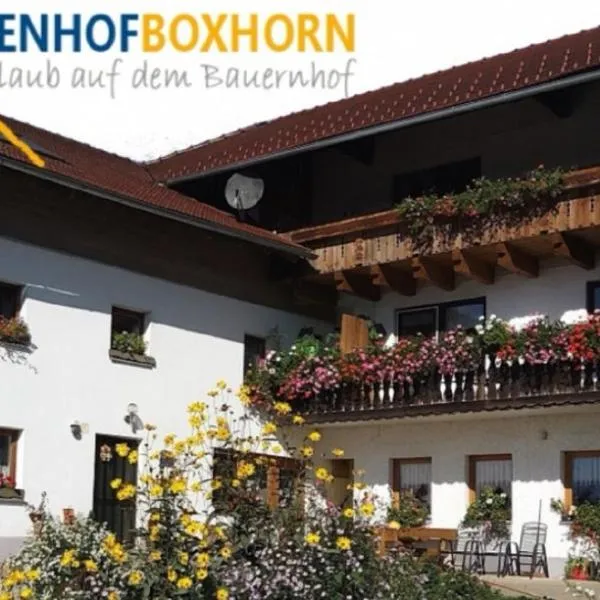 Woferlhof, Ferienhof Boxhorn，位于Böbrach的酒店