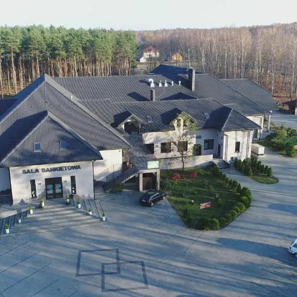 JURAJSKI OLSZTYN，位于Janów的酒店