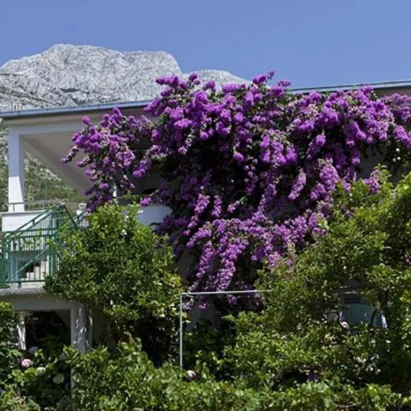 House Marta，位于Žeževica的酒店