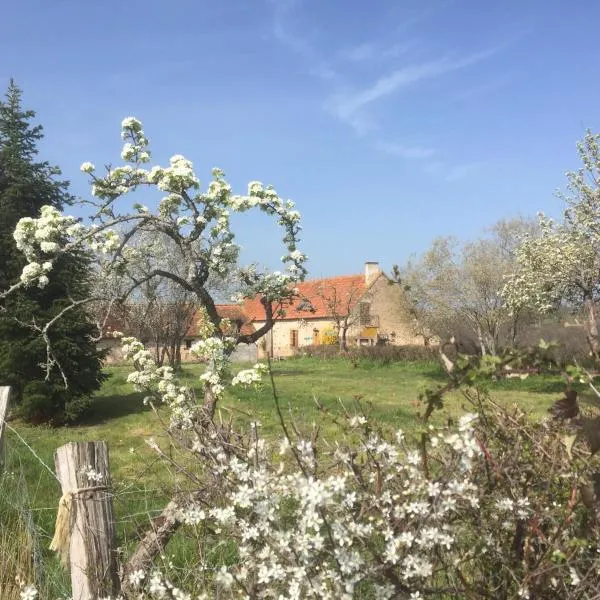 chambres d'hôtes Domaine les Grands Pérons，位于Louroux-Hodement的酒店