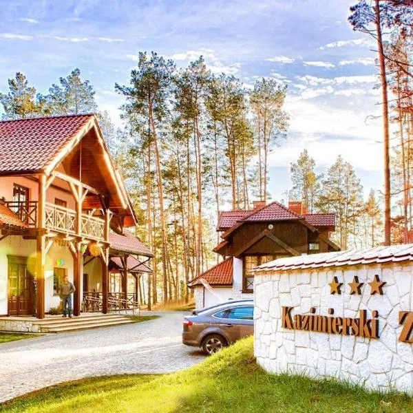 卡兹米尔斯基兹德鲁伊酒店，位于Wilków的酒店