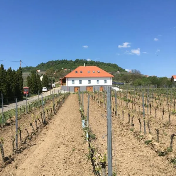 Somló Kolonics Kúria，位于Borgáta的酒店