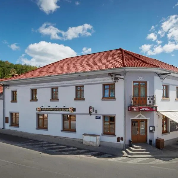 Restaurace Hotel Praha，位于Svatá的酒店