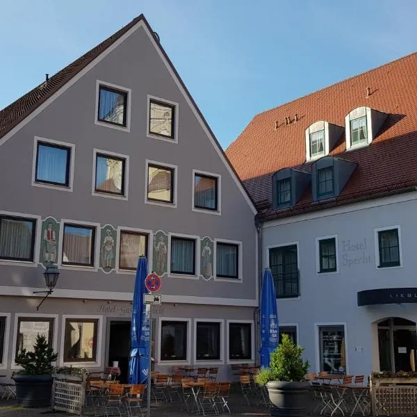 Hotel Gasthof Specht，位于艾夏的酒店