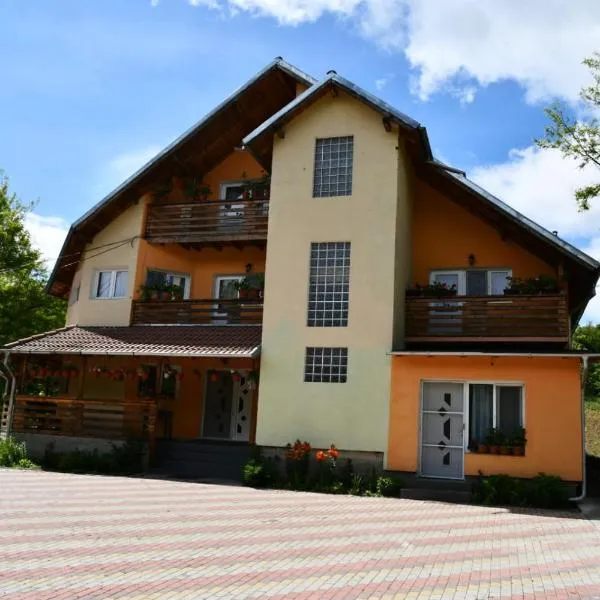 Pensiunea Valea Badilii，位于Valea Iasului的酒店