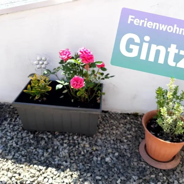 Ferienwohnung Haus Gintz，位于布利斯卡斯特尔的酒店