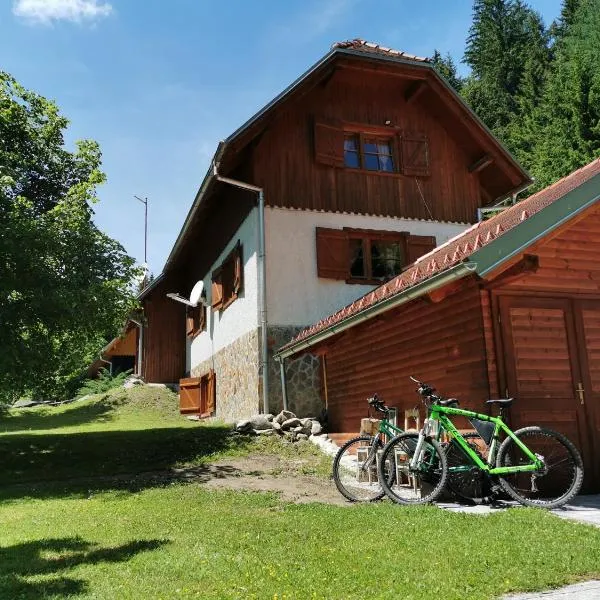 POHORJE HOUSE 2 FOUR APPARTMETNS，位于Oplotnica的酒店