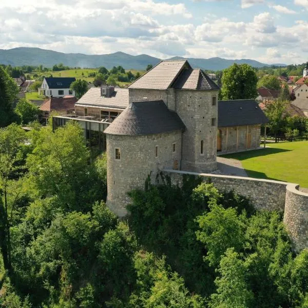 Vinica Castle，位于Stari Trg ob Kolpi的酒店