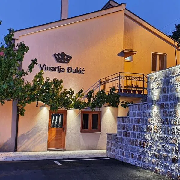 Djukic Winery，位于Korita的酒店