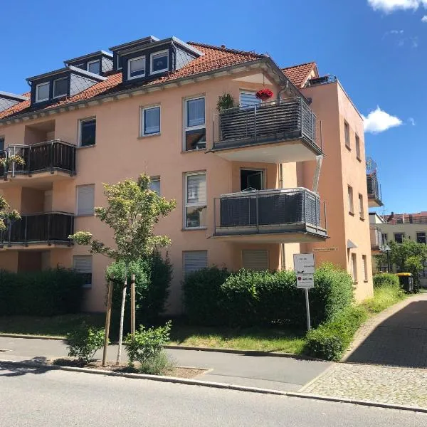 Apartment Saxonia，位于皮尔纳的酒店