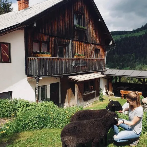 Zauneralm，位于艾奇的酒店