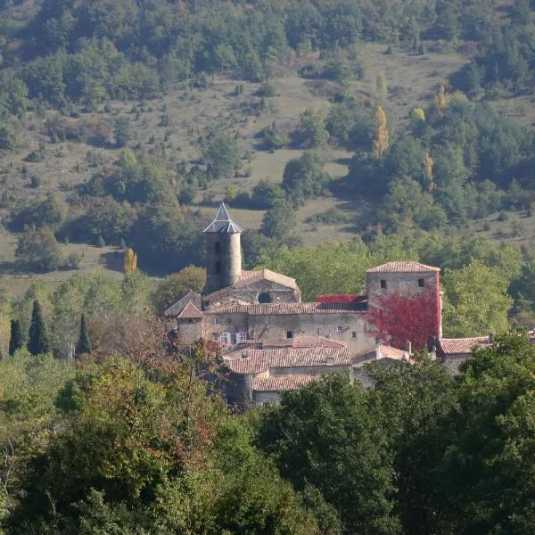 Château de Camon，位于Camon的酒店