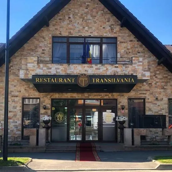 VILA Restaurant Transilvania，位于泽尔内什蒂的酒店