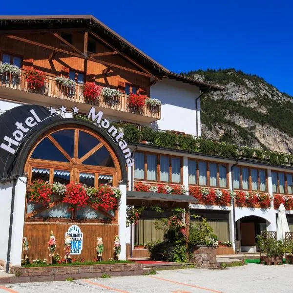 Hotel & Residence Montana，位于费德拉帕加内拉的酒店