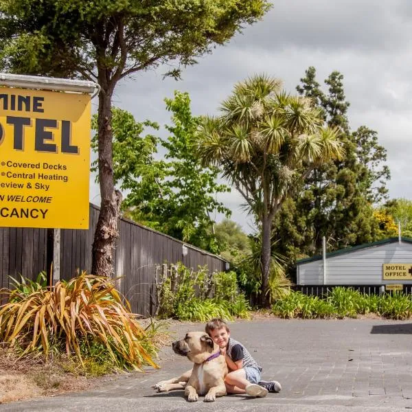 Goldmine Motel，位于怀希的酒店