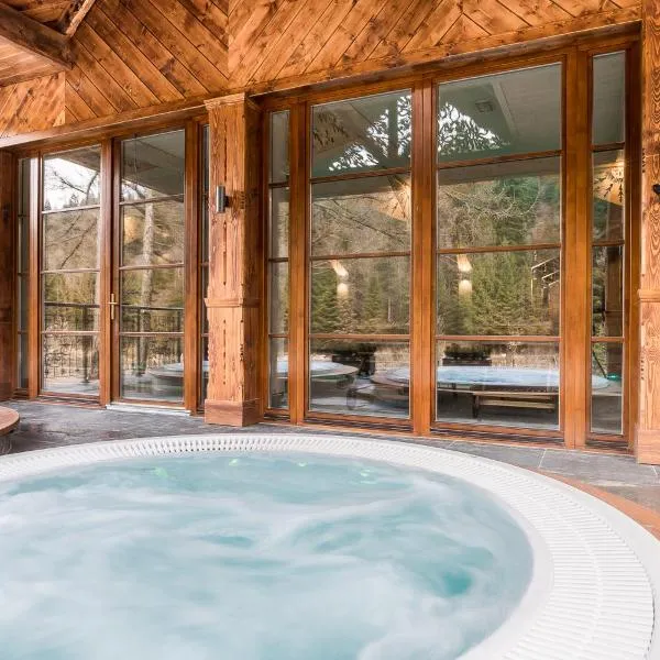 Aries Hotel & SPA Wisła，位于维斯瓦的酒店