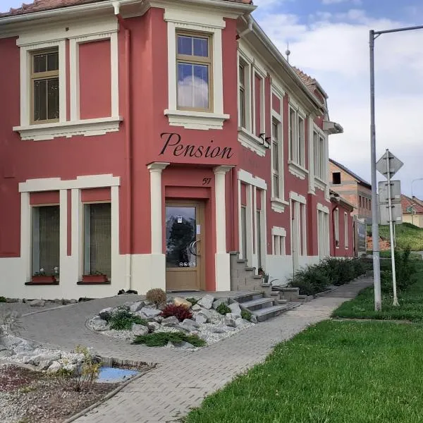 Pension U pálenice，位于Jevišovka的酒店