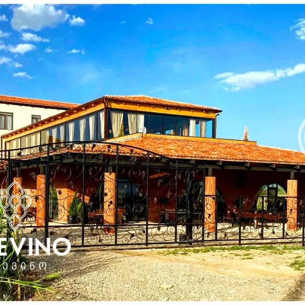 Mtevino，位于Sasadilo的酒店