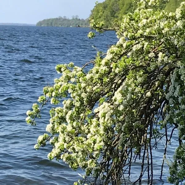 Schweriner See，位于Raben Steinfeld的酒店
