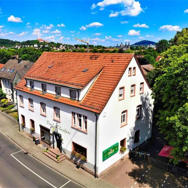 Hotel Gasthof Metzgerei Drei Linden，位于Großenlüder的酒店