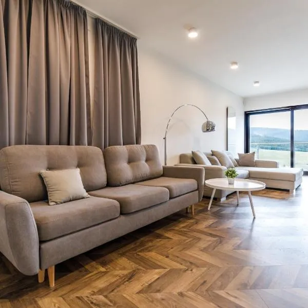 Mountain view apartment by Mountain ways，位于卢捷纳普德克利诺夫琴的酒店