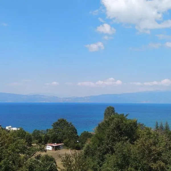 The Brothers Villa Hotel，位于奥赫里德的酒店