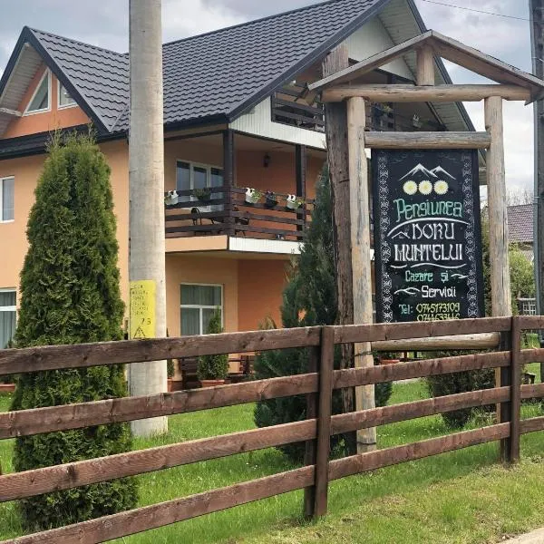 “Doru’ Muntelui”，位于瓦特拉多尔内的酒店
