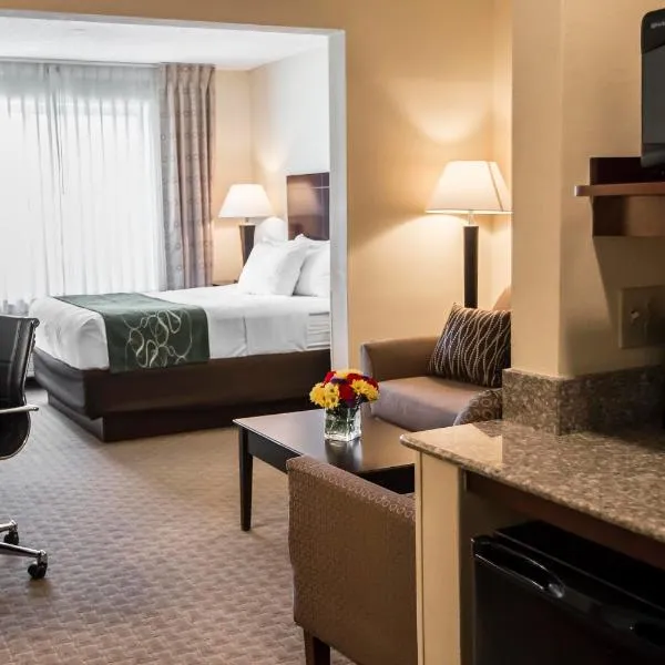 Comfort Suites University Area Notre Dame-South Bend，位于Niles的酒店