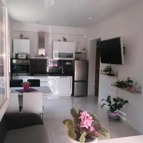 Roberto Apartment，位于Baćina的酒店