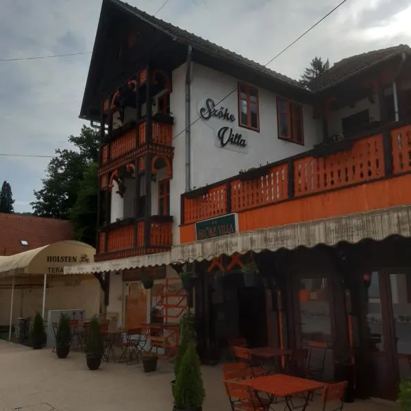 VILA SZOKE SOVATA，位于索瓦塔的酒店