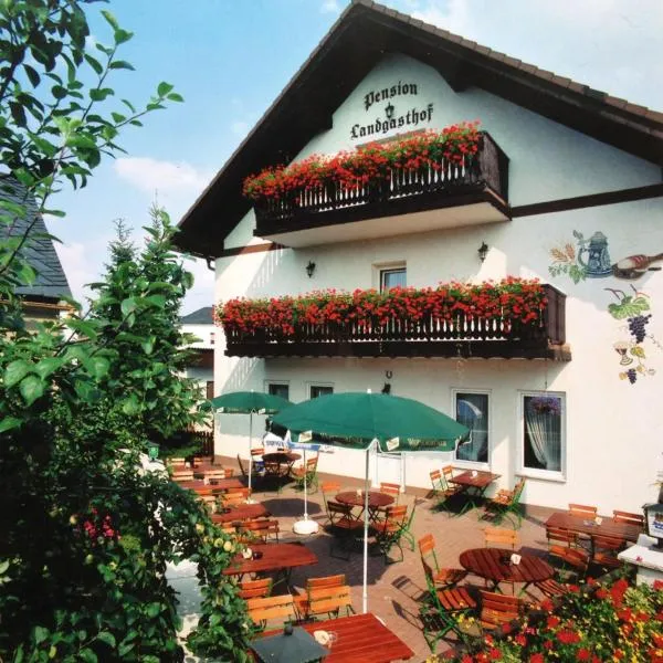 Landgasthof Kanz，位于Langenbach的酒店